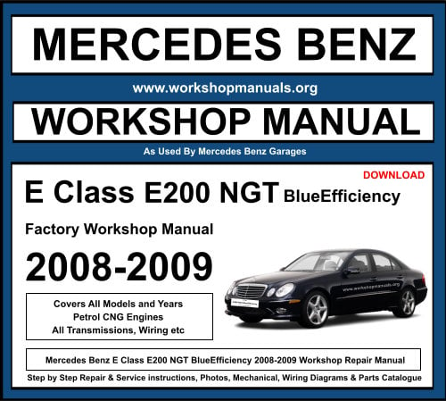 Mercedes E Class E200 NGT BlueEfficiency 2008-2009 Workshop Repair Manual