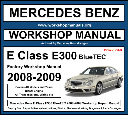 Mercedes E Class E300 BlueTEC 2008-2009 Workshop Repair Manual